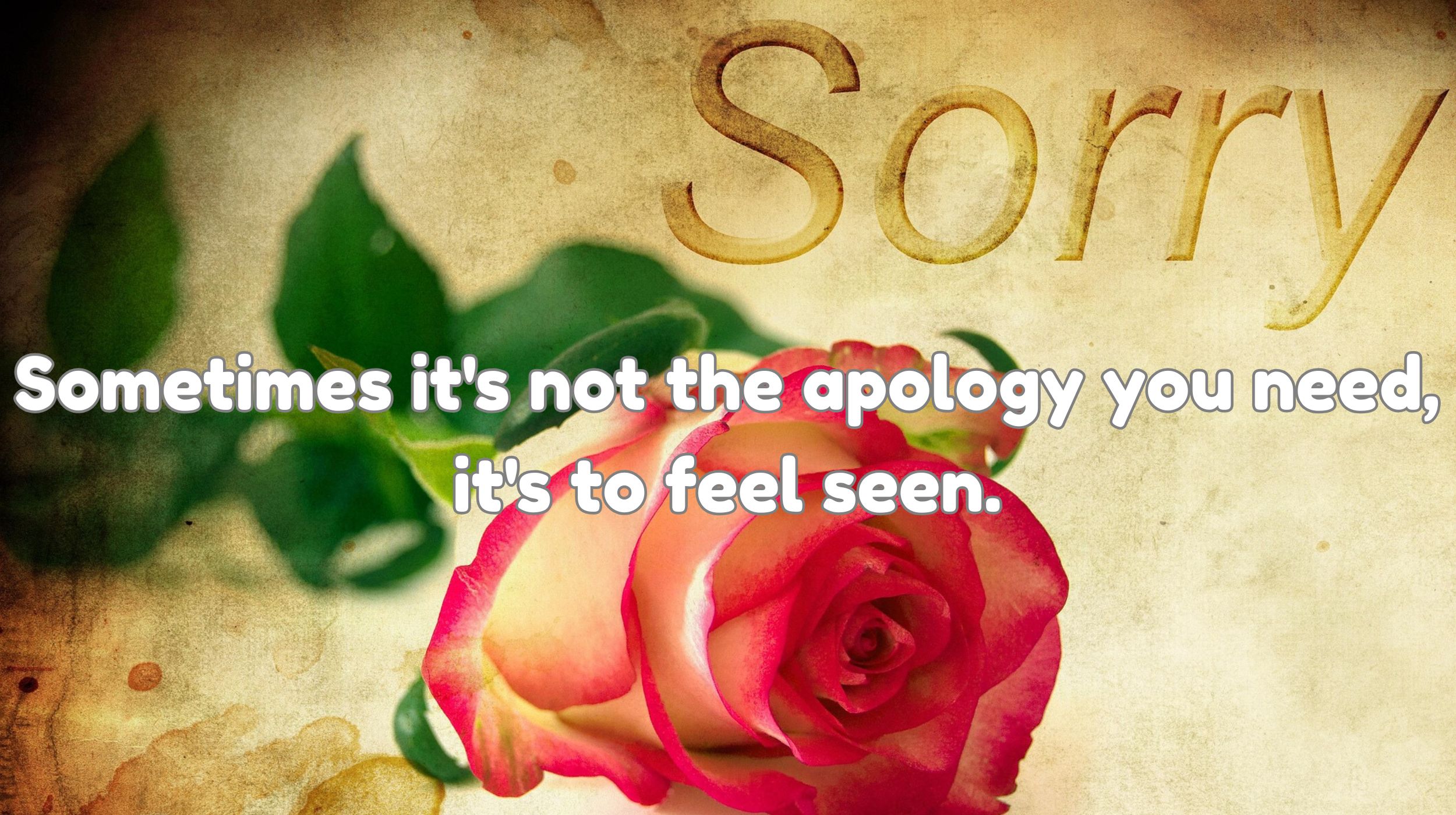 Sometimes it's not the apology you need—it's to feel seen.