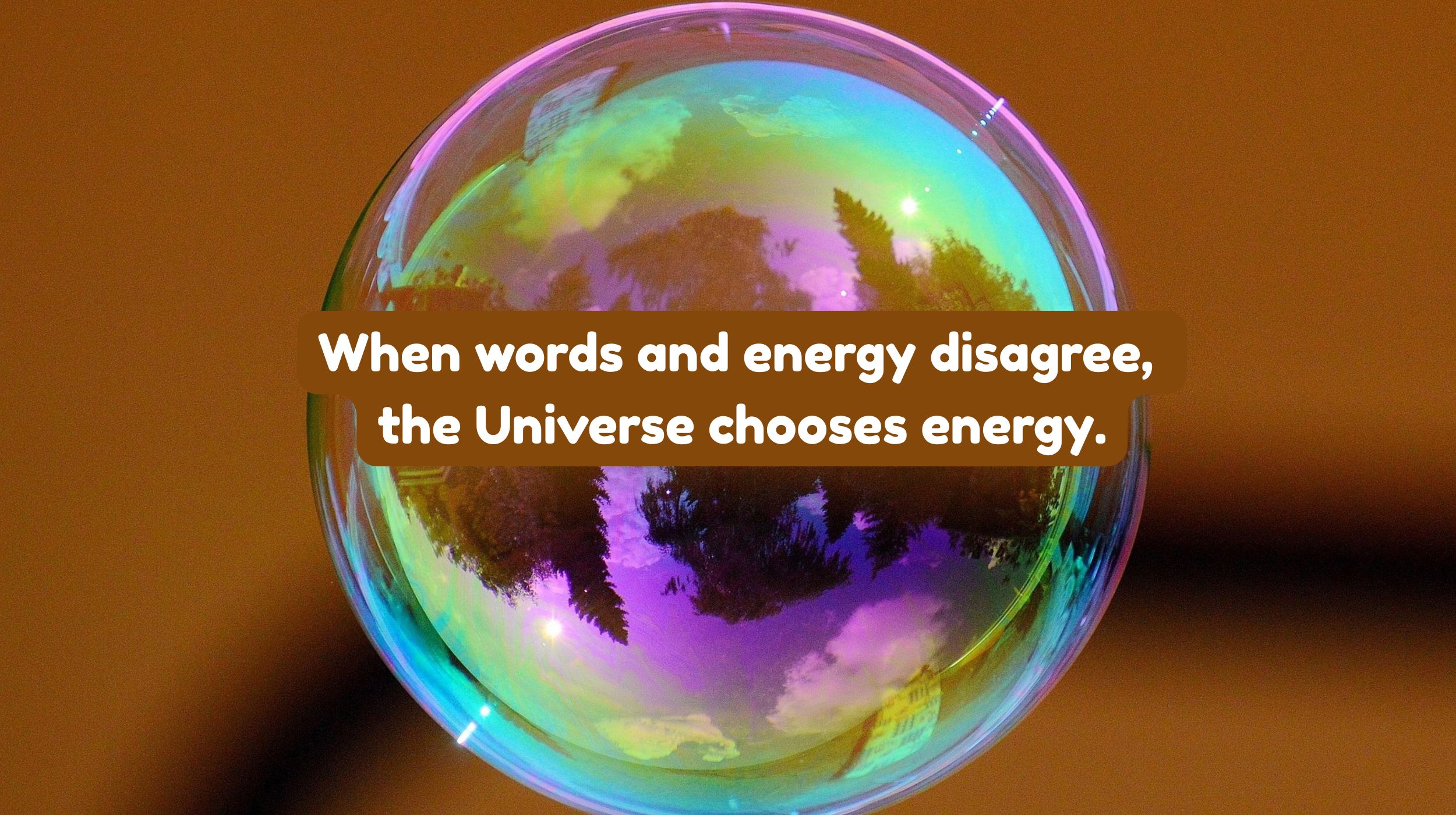 When words and energy disagree, the universe chooses energy.